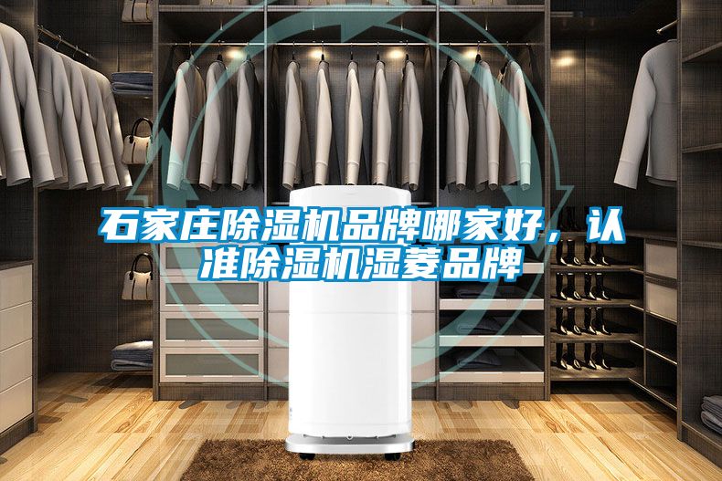 石家莊除濕機(jī)品牌哪家好，認(rèn)準(zhǔn)除濕機(jī)濕菱品牌