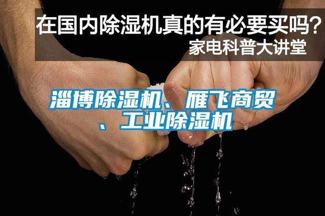 淄博除濕機、雁飛商貿(mào)、工業(yè)除濕機