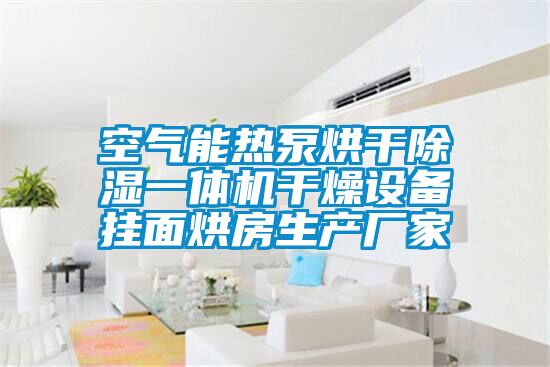 空氣能熱泵烘干除濕一體機(jī)干燥設(shè)備掛面烘房生產(chǎn)廠(chǎng)家