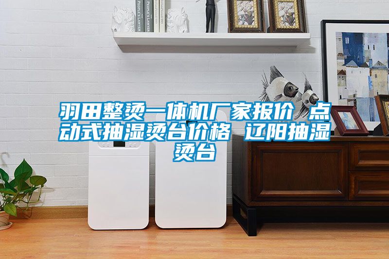 羽田整燙一體機(jī)廠家報價 點動式抽濕燙臺價格 遼陽抽濕燙臺