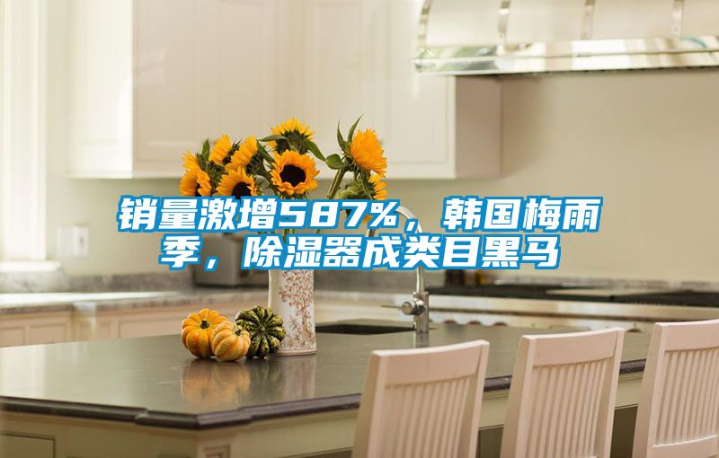 銷量激增587%，韓國梅雨季，除濕器成類目黑馬