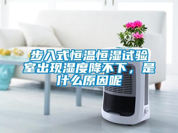 步入式恒溫恒濕試驗室出現(xiàn)濕度降不下，是什么原因呢