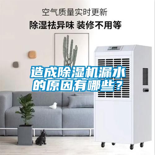 造成除濕機(jī)漏水的原因有哪些？