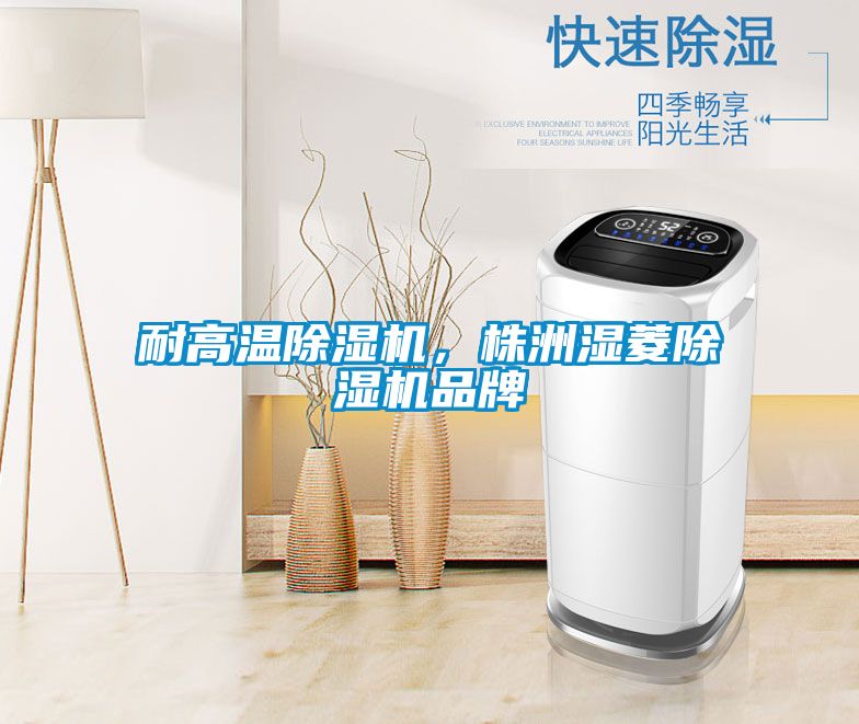 耐高溫除濕機(jī)，株洲濕菱除濕機(jī)品牌