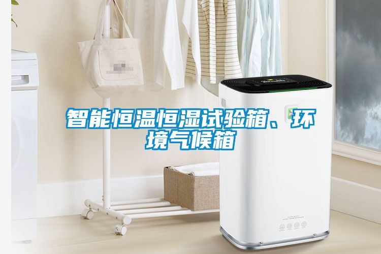 智能恒溫恒濕試驗箱、環(huán)境氣候箱