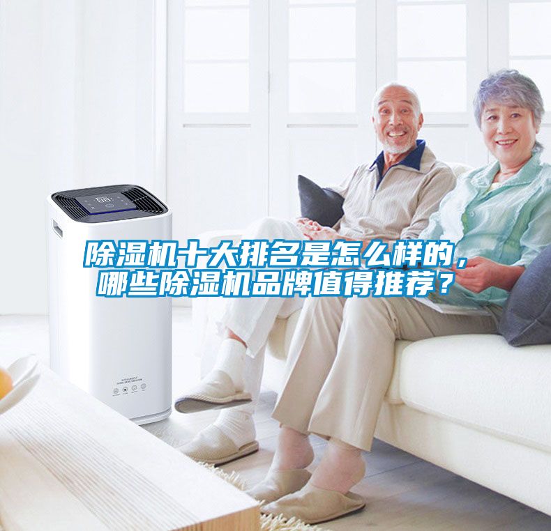除濕機十大排名是怎么樣的，哪些除濕機品牌值得推薦？