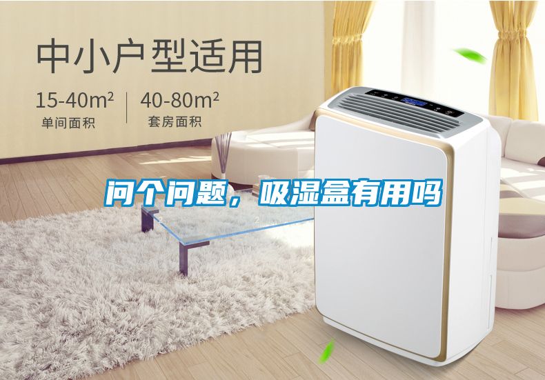 問個(gè)問題，吸濕盒有用嗎