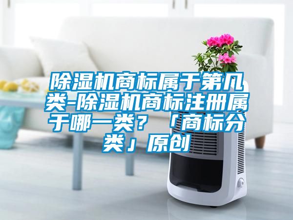 除濕機商標(biāo)屬于第幾類-除濕機商標(biāo)注冊屬于哪一類？「商標(biāo)分類」原創(chuàng)