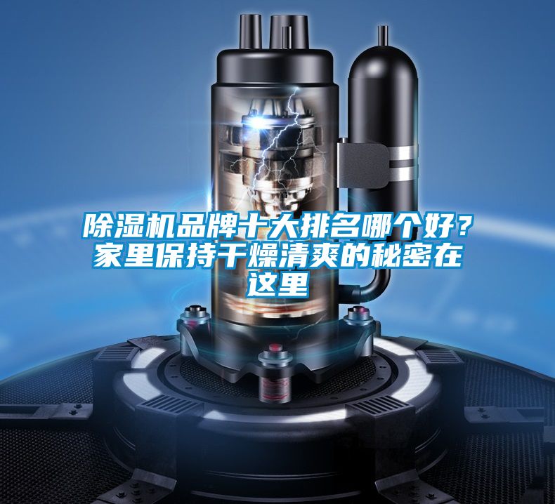 除濕機(jī)品牌十大排名哪個(gè)好？家里保持干燥清爽的秘密在這里