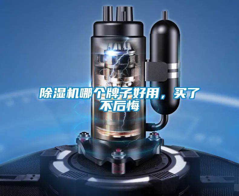 除濕機(jī)哪個(gè)牌子好用，買(mǎi)了不后悔