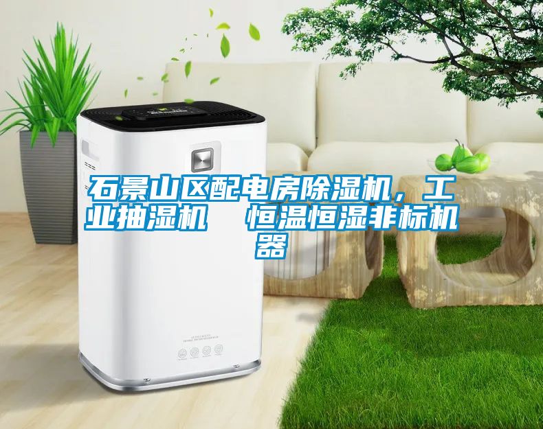 石景山區(qū)配電房除濕機，工業(yè)抽濕機  恒溫恒濕非標機器