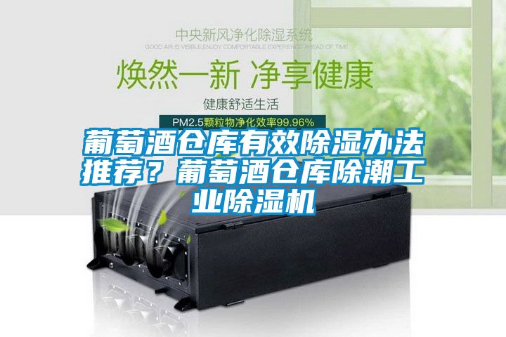 葡萄酒倉(cāng)庫(kù)有效除濕辦法推薦？葡萄酒倉(cāng)庫(kù)除潮工業(yè)除濕機(jī)