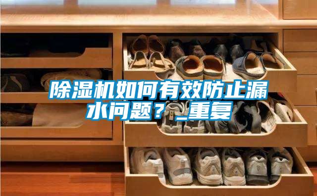 除濕機(jī)如何有效防止漏水問題？_重復(fù)