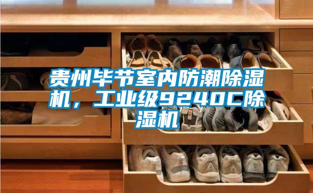 貴州畢節(jié)室內(nèi)防潮除濕機(jī)，工業(yè)級(jí)9240C除濕機(jī)