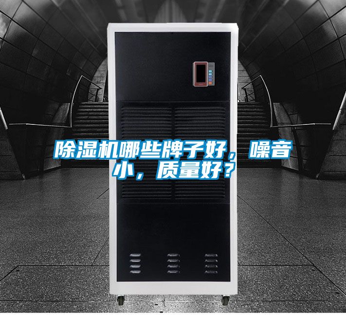 除濕機(jī)哪些牌子好，噪音小，質(zhì)量好？