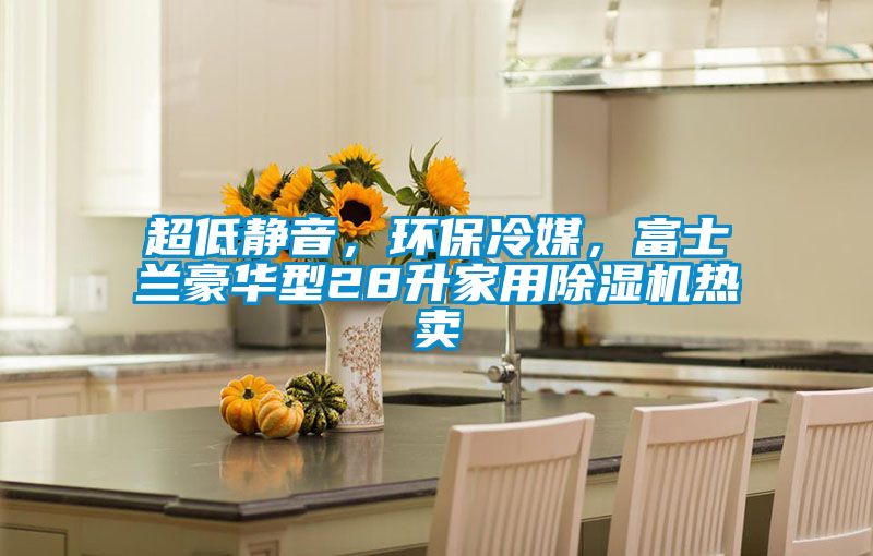 超低靜音，環(huán)保冷媒，富士蘭豪華型28升家用除濕機熱賣