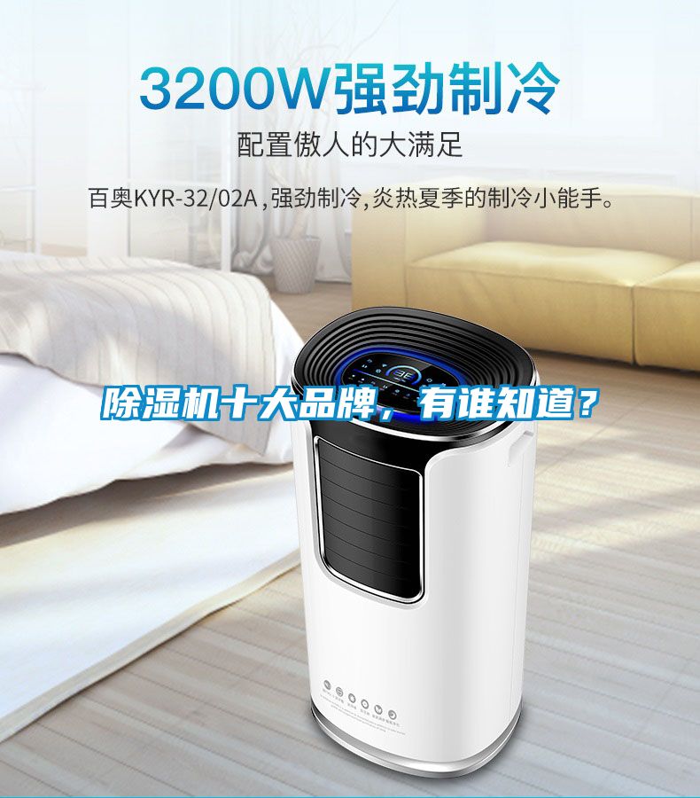 除濕機十大品牌，有誰知道？