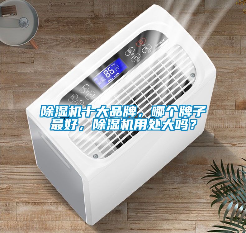 除濕機十大品牌，哪個牌子最好，除濕機用處大嗎？