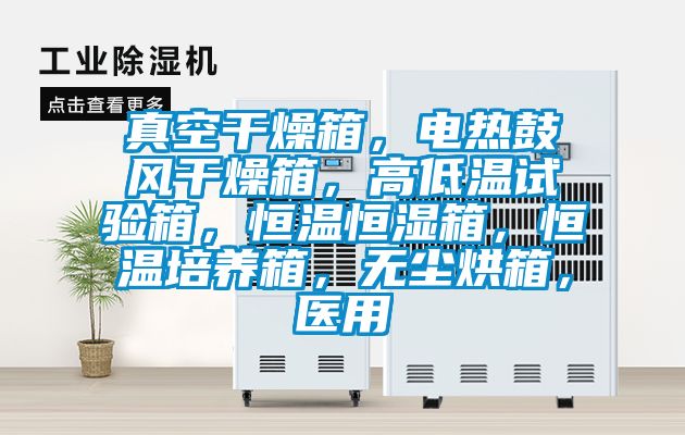 真空干燥箱，電熱鼓風(fēng)干燥箱，高低溫試驗(yàn)箱，恒溫恒濕箱，恒溫培養(yǎng)箱，無塵烘箱，醫(yī)用