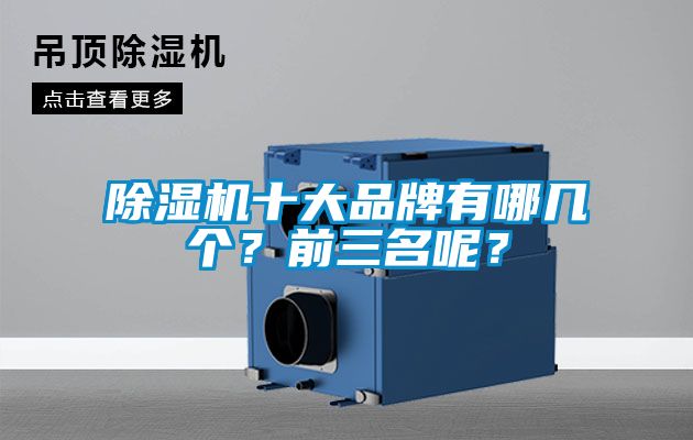 除濕機十大品牌有哪幾個？前三名呢？