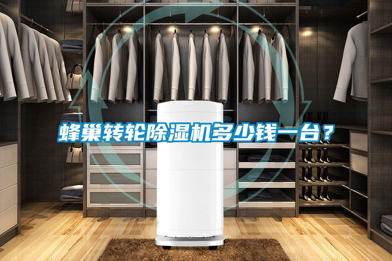 蜂巢轉輪除濕機多少錢一臺？