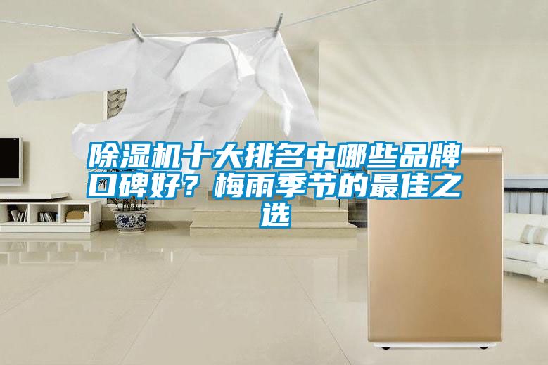 除濕機十大排名中哪些品牌口碑好？梅雨季節(jié)的最佳之選