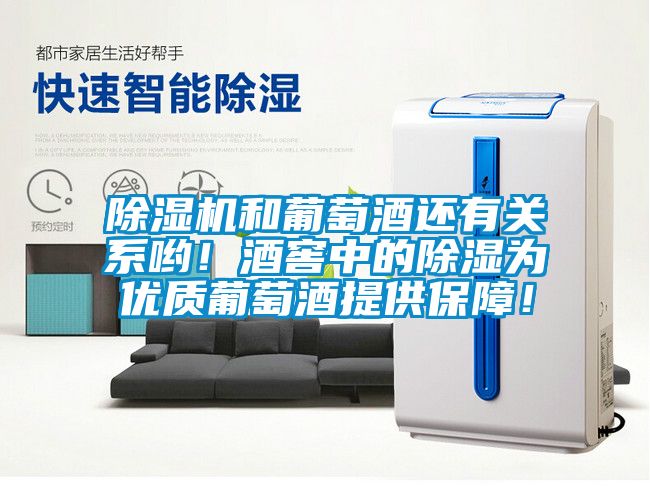 除濕機(jī)和葡萄酒還有關(guān)系喲！酒窖中的除濕為優(yōu)質(zhì)葡萄酒提供保障！