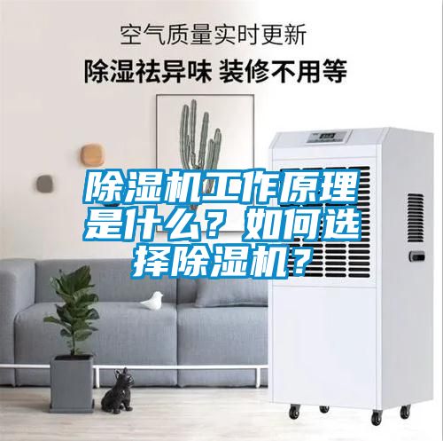 除濕機(jī)工作原理是什么？如何選擇除濕機(jī)？