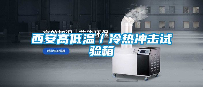 西安高低溫/冷熱沖擊試驗箱