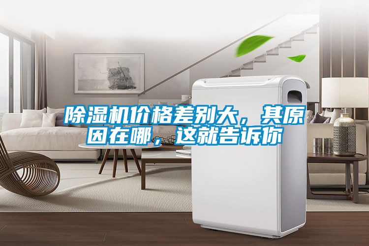 除濕機價格差別大，其原因在哪，這就告訴你