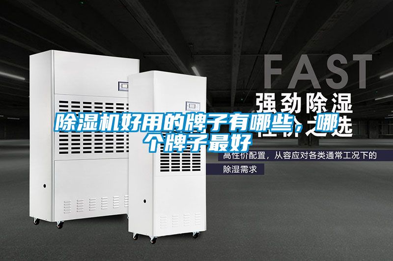 除濕機好用的牌子有哪些，哪個牌子最好