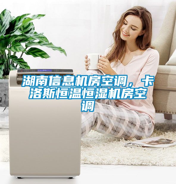 湖南信息機(jī)房空調(diào)，卡洛斯恒溫恒濕機(jī)房空調(diào)