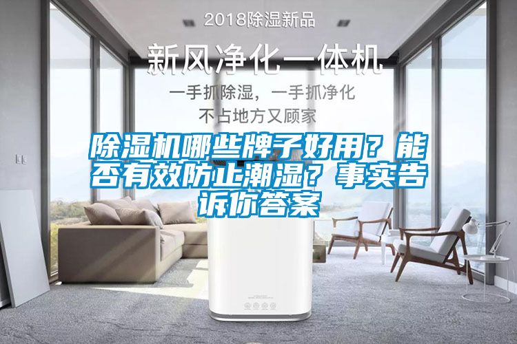 除濕機(jī)哪些牌子好用？能否有效防止潮濕？事實(shí)告訴你答案