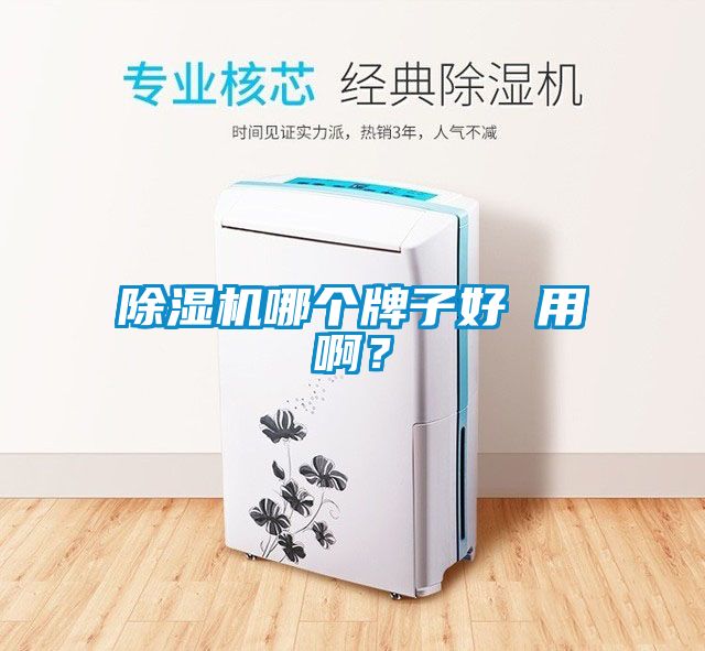 除濕機哪個牌子好 用??？