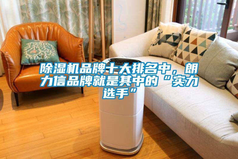 除濕機(jī)品牌十大排名中，朗力信品牌就是其中的“實(shí)力選手”