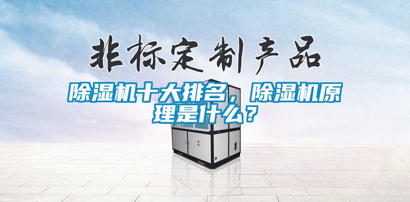 除濕機十大排名，除濕機原理是什么？