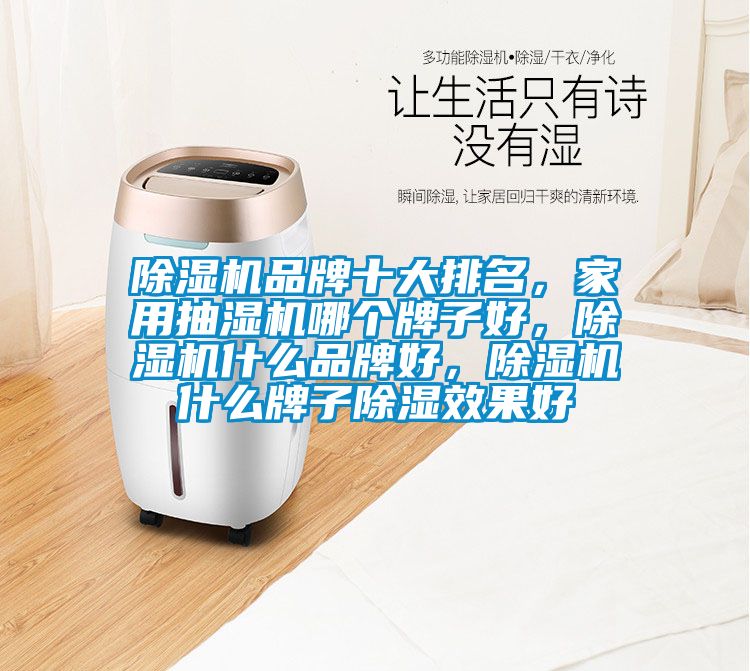 除濕機品牌十大排名，家用抽濕機哪個牌子好，除濕機什么品牌好，除濕機什么牌子除濕效果好