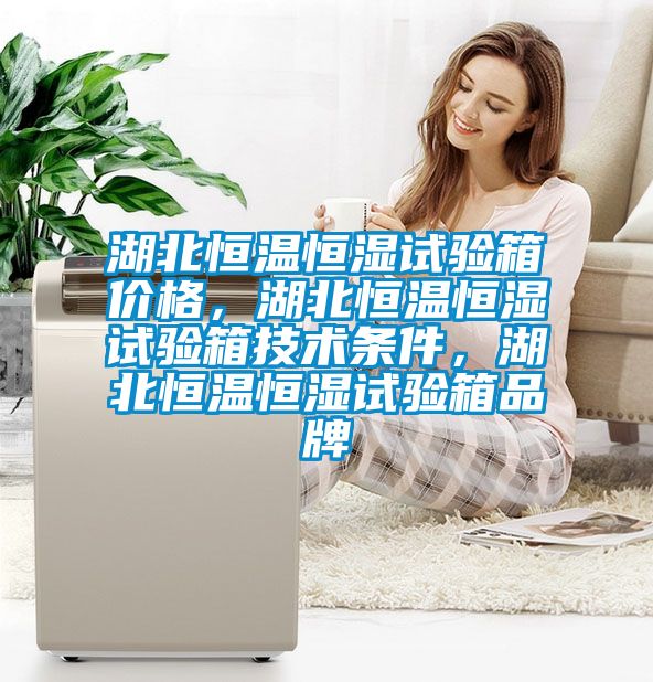 湖北恒溫恒濕試驗(yàn)箱價(jià)格，湖北恒溫恒濕試驗(yàn)箱技術(shù)條件，湖北恒溫恒濕試驗(yàn)箱品牌