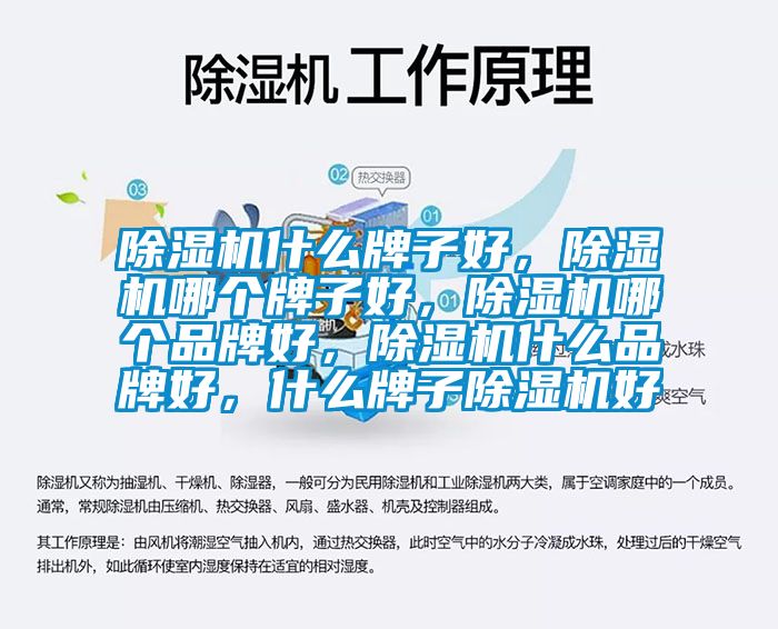 除濕機(jī)什么牌子好，除濕機(jī)哪個(gè)牌子好，除濕機(jī)哪個(gè)品牌好，除濕機(jī)什么品牌好，什么牌子除濕機(jī)好