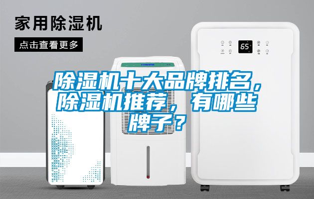 除濕機十大品牌排名，除濕機推薦，有哪些牌子？