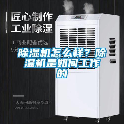 除濕機(jī)怎么樣？除濕機(jī)是如何工作的