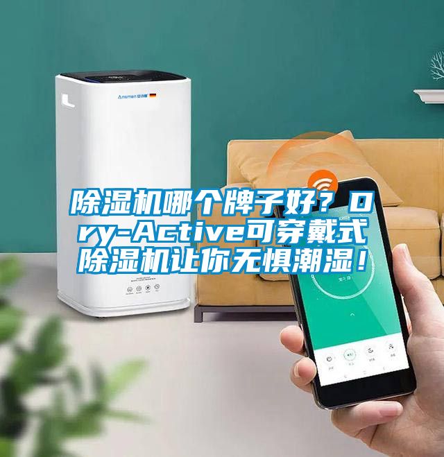 除濕機哪個牌子好？Dry-Active可穿戴式除濕機讓你無懼潮濕！