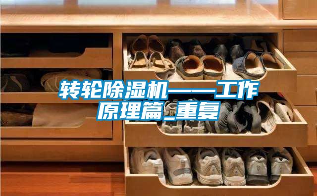 轉(zhuǎn)輪除濕機(jī)——工作原理篇_重復(fù)
