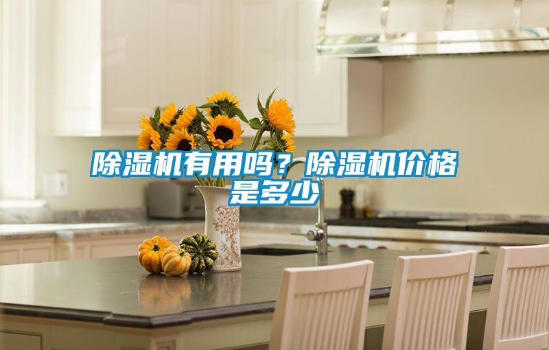 除濕機有用嗎？除濕機價格是多少