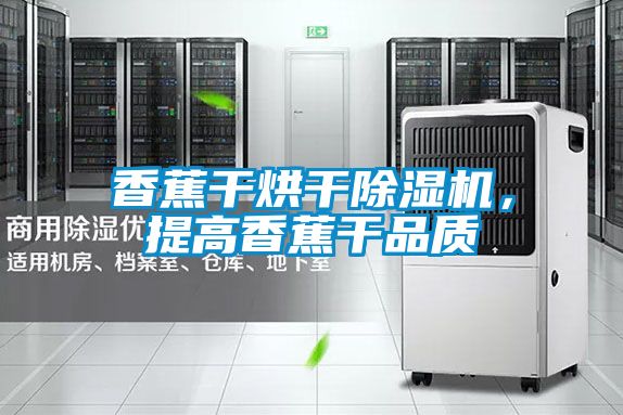 香蕉干烘干除濕機(jī)，提高香蕉干品質(zhì)