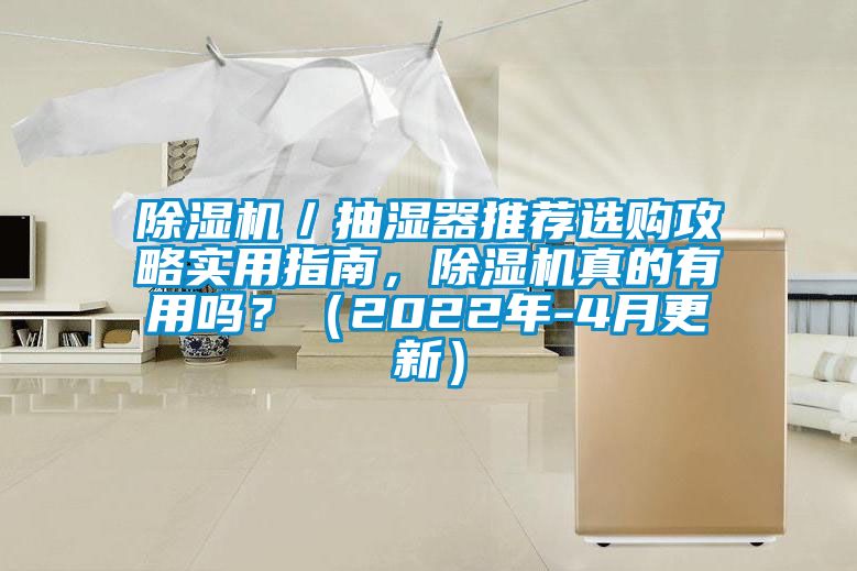 除濕機(jī)／抽濕器推薦選購攻略實(shí)用指南，除濕機(jī)真的有用嗎？（2022年-4月更新）