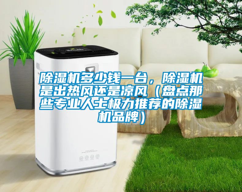 除濕機多少錢一臺，除濕機是出熱風(fēng)還是涼風(fēng)（盤點那些專業(yè)人士極力推薦的除濕機品牌）