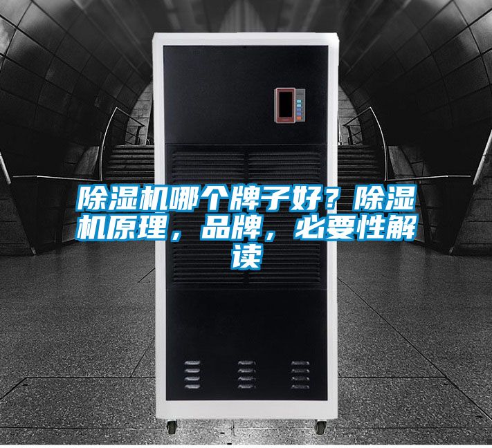 除濕機(jī)哪個(gè)牌子好？除濕機(jī)原理，品牌，必要性解讀