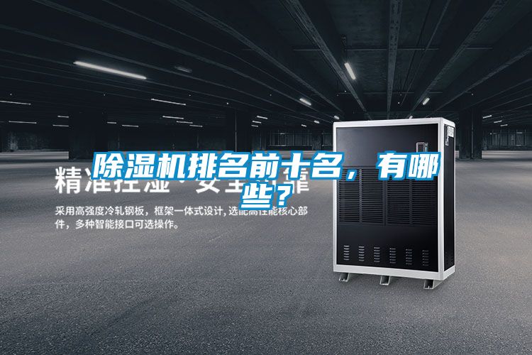 除濕機(jī)排名前十名，有哪些？