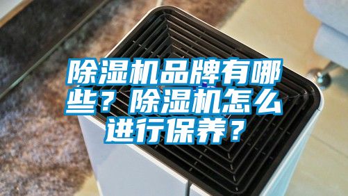 除濕機品牌有哪些？除濕機怎么進行保養(yǎng)？